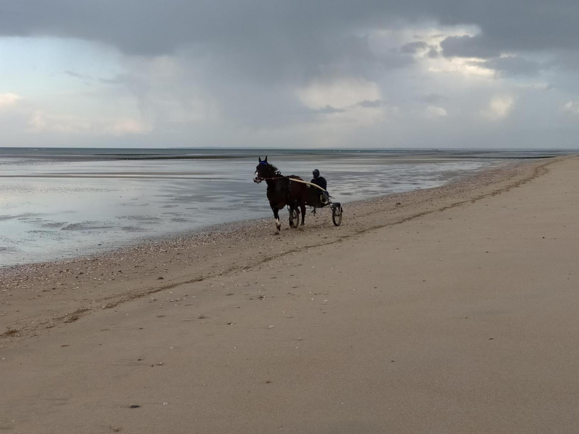 Gites "Plage" Ou "Pieds Dans L'Eau" En Front De Mer A Asnelles , 3Km D'Arromanches, 10Km De Bayeux 외부 사진